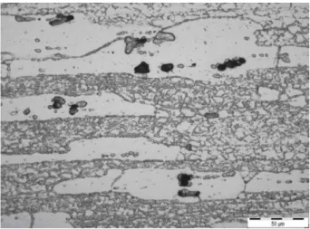 Figure 1: Optical micrograph of 7010-T7451 in rolling direction showing constituent particles in the recrystallized grains 