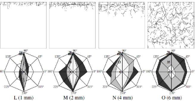 Fig 1.11 Effet de la taille de sphère sur la microfissuration induite par le séchage et l’orientation  induite par 10% (blanc), 20% (gris) et 30% (noir) de séchage (Bisschop 2001) 