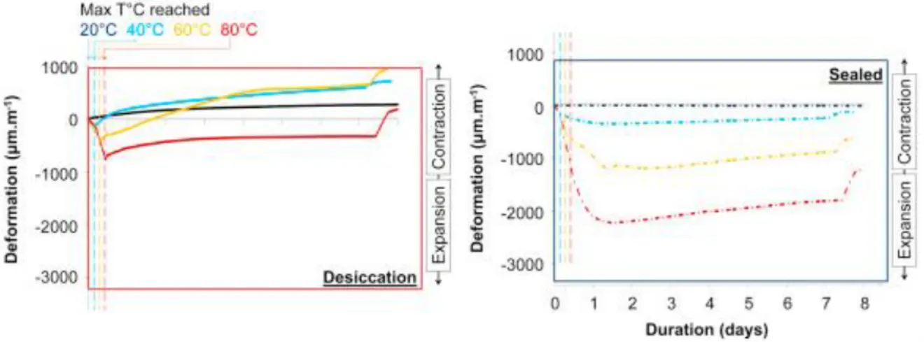 Fig 1.14 Déformation thermique de la pâte de ciment initialement saturée (Cagnon et al