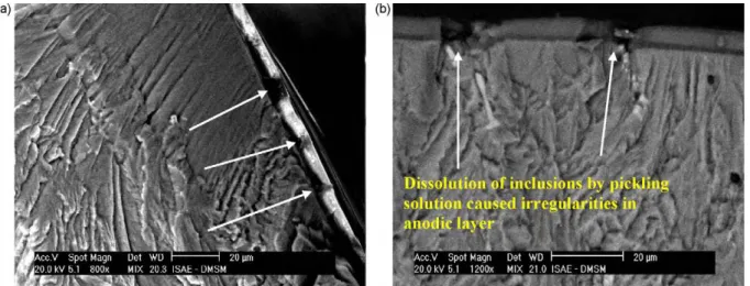 Fig. 11. (a) Partial delamination of coating from substrate and (b) irregularities found in the coating.