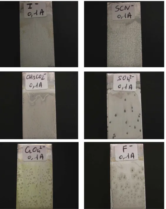 Fig. 10. Photographs of plates I after application of the required cell tension to obtain a 0.1 A current intensity in the presence of some electrolytes.