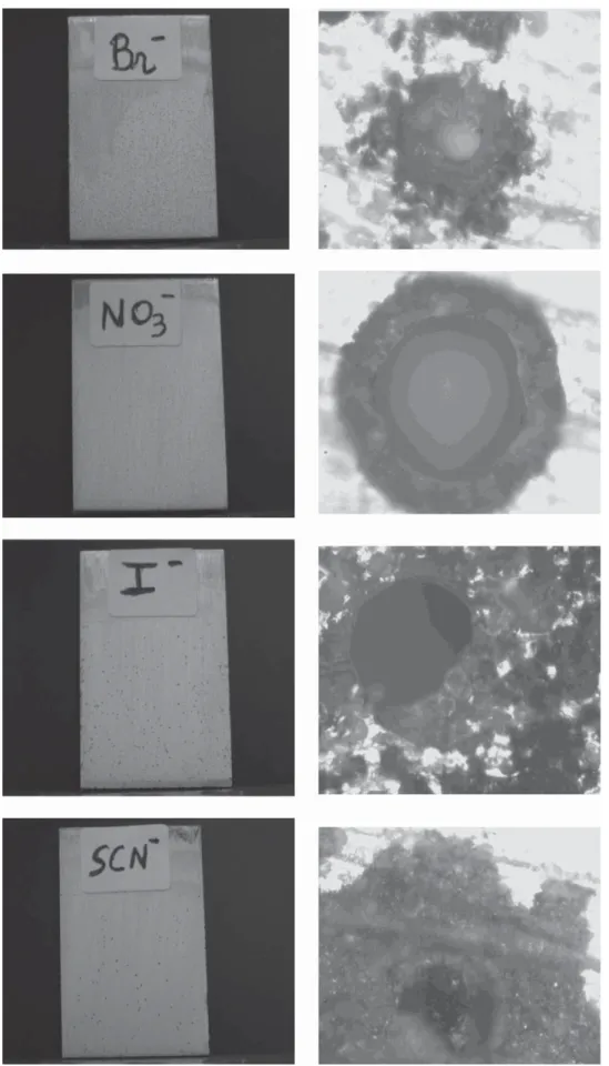 Fig. 6. Photographs (on the left side) and micrographs (on the right side, magniﬁcation ×50) of plates I after corrosion experiments in the presence of some electrolyte solutions at 0.01 mol L −1 concentration.