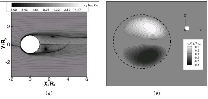 Fig. 4.2  Simulation de la sphère à R e = 250 : (a)-Isocontours de vorticité azimutale dans le plan de symétrie ; (b)- Isocontours de vorticité axiale dans une coupe axiale du sillage à X = 4R 0 .