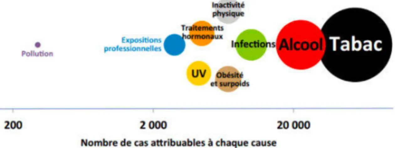 Figure 6 : Nombre de cas de cancers attribuables aux différents facteurs de risques de  cancer en France (CIRC, 2007) 