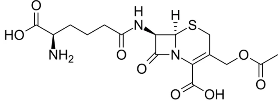 Figure 12. Structure céphalosporine C 