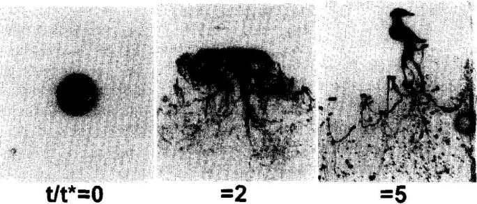 Figure 1.5 : Flash shadowgraphs of the secondary breakup of a glycerol droplet as a function of an adimensional time t/t ∗ (d p = 1000µm, W e = 250)