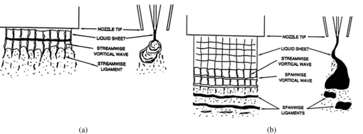 Figure 5.4 : Illustration of the streamwise ligament breakup regime (left) and the cellular breakup regime (right) for a flat liquid sheet