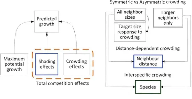 Figure 1.1 :  Model structure and  hypotheses. 
