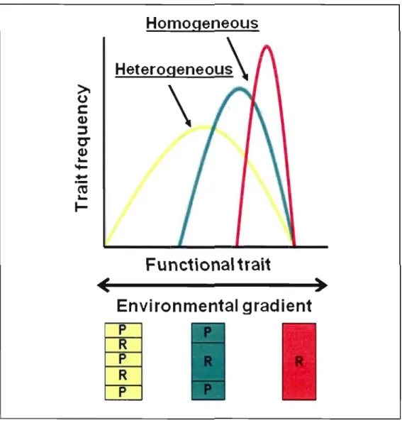 Figure 3.1  Conceptual  illustration  of the  hypotheses concerning functional  traits associated  to  sites encompassing different  levels of habitat spatial  composition  shown  at  the  bottom CR  = 
