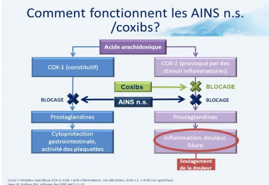 Figure 7 : Mécanisme d'action de l'aspirine