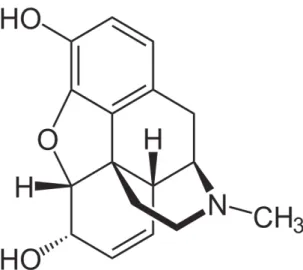 Figure 12 : Formule chimique de la morphine