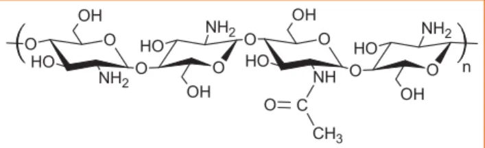 Figure 15 - Structure chimique du chitosane.