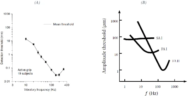 Figure 1-8: Detection range of the mechanoreceptors in the human hand. (A) Shows the psychophysical threshold of  detection reported by participants when subjected to the vibration of a 32 mm rod held in the hand