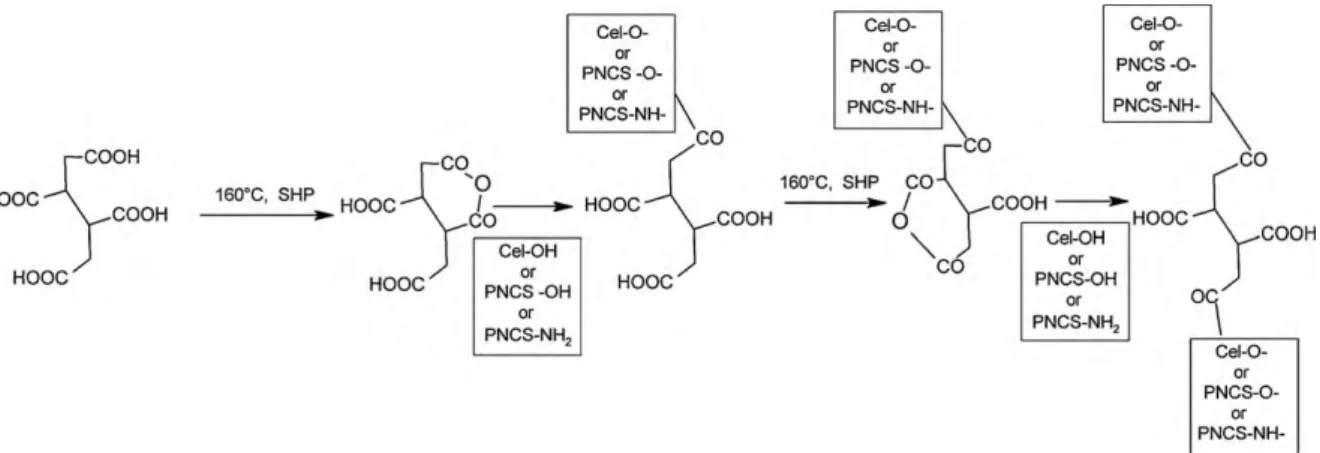 Fig. 3. Temperature induced phase transition of PNCS microparticles studied by UV–vis spectrophotometry at 600 nm for pH 2, 4, 7 and 9.