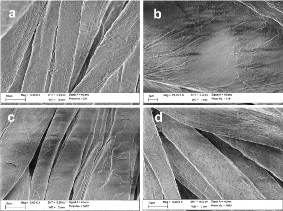 Fig. 5. Scanning electron microscope images of cotton with incorporated PNCS microparticles (c-PNCS/BTCA) (a and b); cotton treated with BTCA only (c-BTCA) (c) and cotton with incorporated PNCS microparticles (c-PNCS/BTCA) after ﬁve times washing (d).