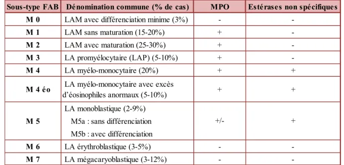 Tableau 1 : Classification des LAM selon FAB [83] 