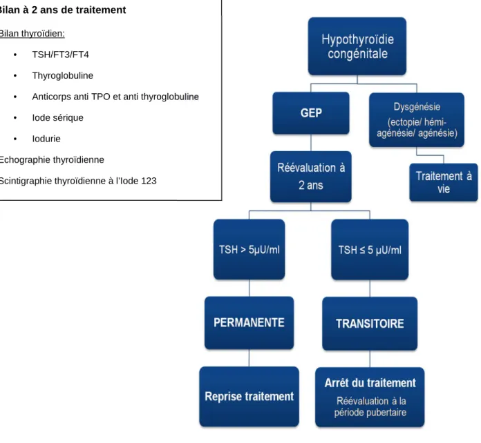 Figure 2 : Stratégie thérapeutique devant HC avec GEP 