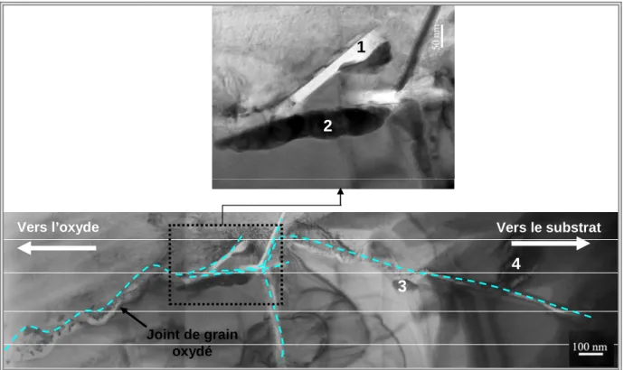 Figure IV- 28 : Joint de grain oxydé proche de la surface de l’échantillon. 