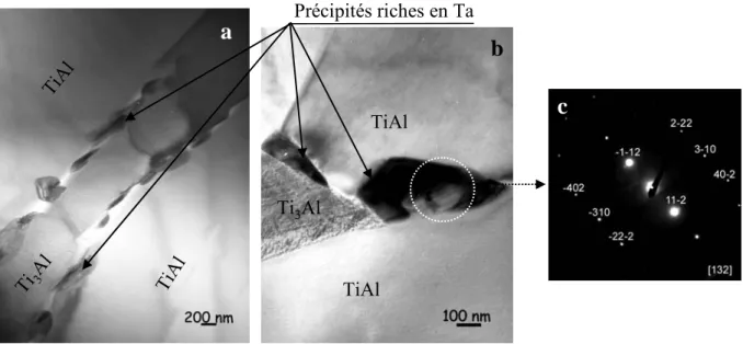 Figure IV- 29 : (a et b) : Clichés MET montrant la formation de précipités riches en Ta aux  joints de lamelles