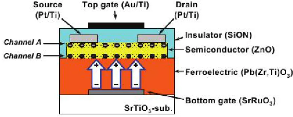 Figure 2.7: Ferroelectric Memristor, the OxiM transistor has dual channels at the upper and lower sides of the ZnO film, which are controlled independently by the top gate and the bottom gate, respectively