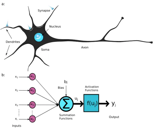 Figure 4.4: The structure of a neuron a)Physiological neuron, b) Artificial neuron model.