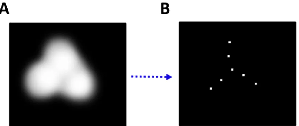 Figure 20 : Principe de SPIDER, basé sur la détection de sondes fluorescentes en haute densité par  déconvolution