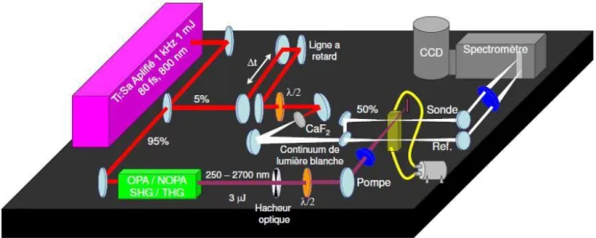 Figure 35 : Schéma du montage pompe – sonde utilisé pour les expériences  d’absorption transitoire  femtoseconde