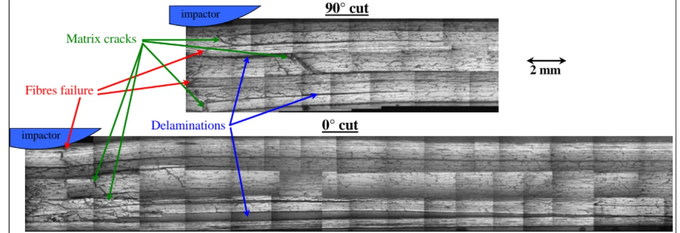 Figure 1. Post-mortem microscopic cuts in the 0° and 90° direction 
