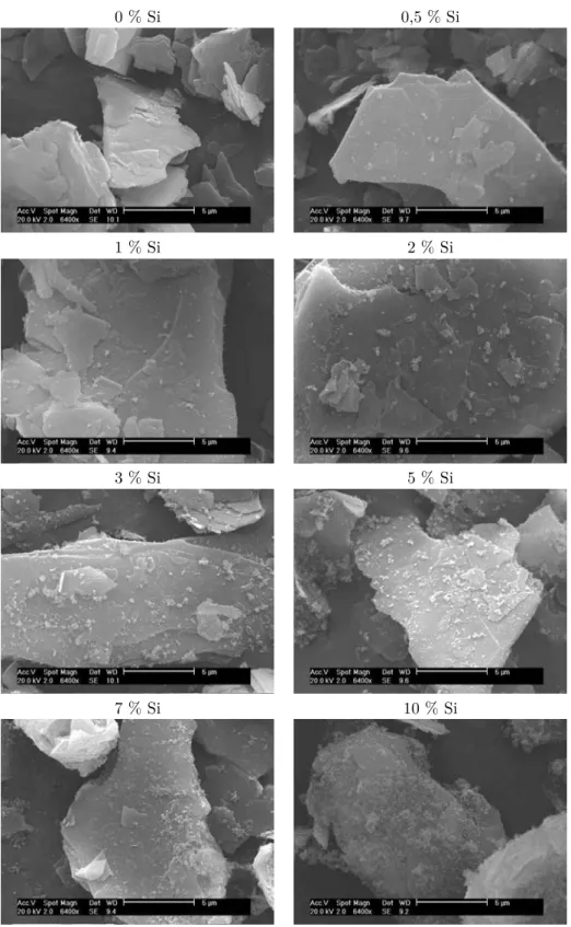 Figure 5.6 − Talc F2 enrobé au Cyclomix® avec différentes concentrations de silice hydro- hydro-phobe (x 6400)