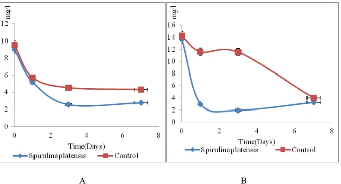 Fig. 4.13. Evolution of Cl -  ion concentration in media with the addition of livestock (pony)  wastewaters under the influence of algae Spirulina platensis (A - 2%, B - 5% diluted 