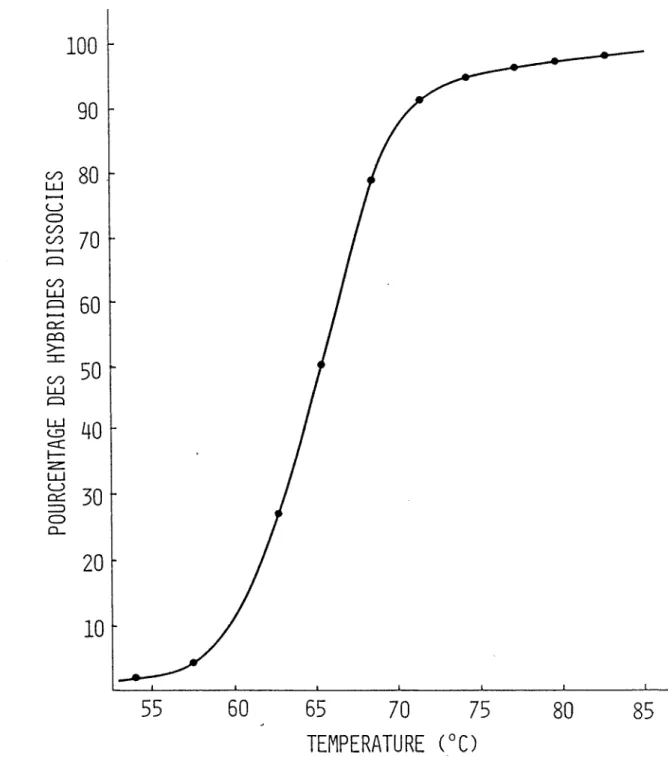 Figure 8. Courbe de fusion de 1'ADN complementaire cloné de H5 (p541)  avec l'insertion de pCHIXO.6H/S