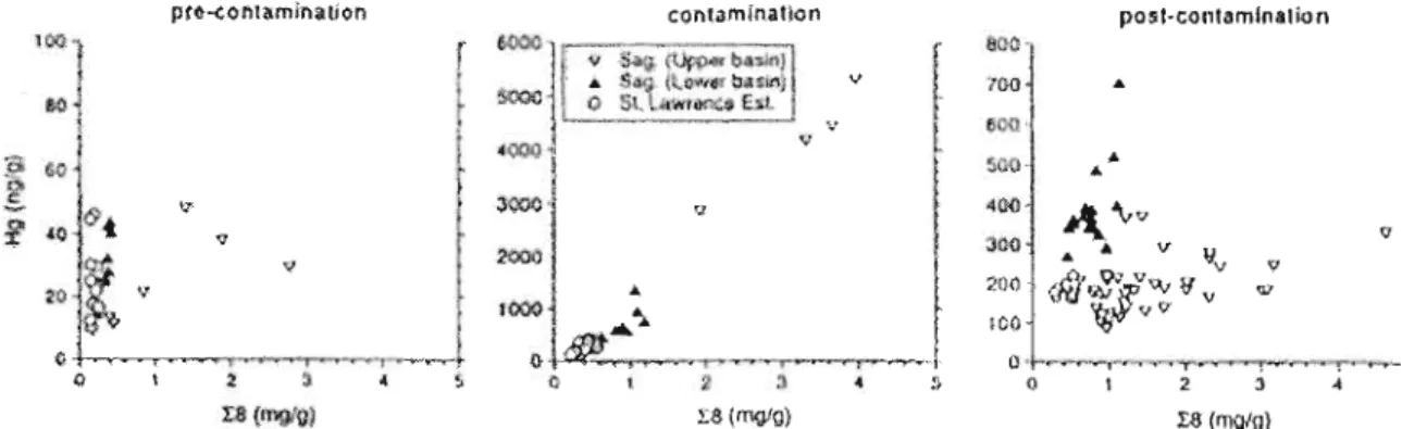 Figure  0.4  Relations  entre  I8  (indicateur  de  la  contribution  relative  en  lignine  d'un  échantillon  normalisé  par  gramme  d'échantillon)  et  la  [Hg]  dans  les  sédiments  du  fjord  du  Saguenay  et  de  l'estuaire  du  Saint-Laurent  (Lou