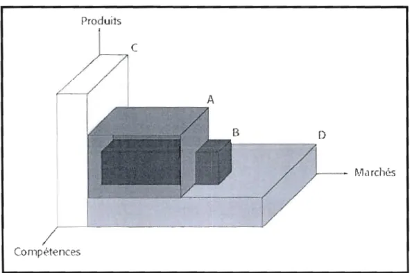 Figure 3.4  :  Champs et groupes stratégiques: une coupe schématique  Source: Allaire et  Firsirotu,  1993,2004