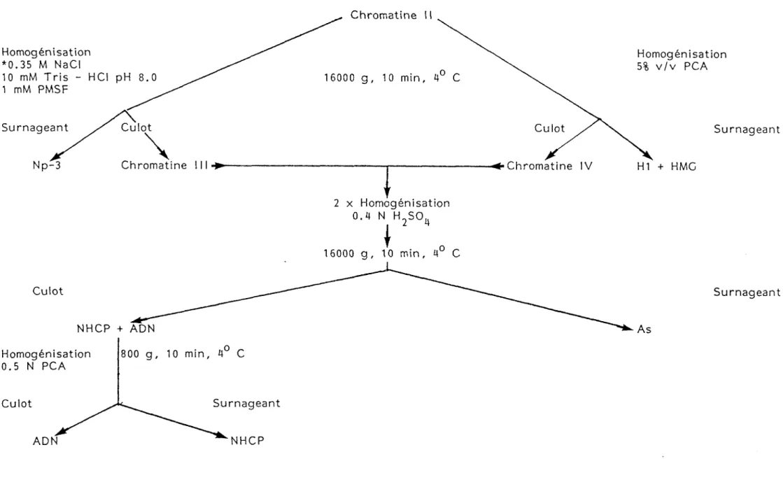 TABLEAU III