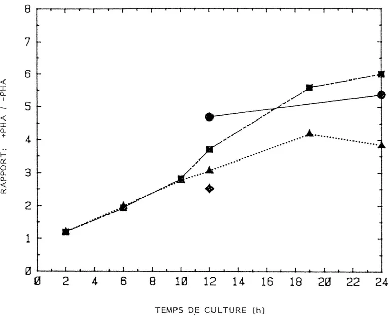 Figure 4: Influence de la concentration de leucine froide sur le rapport  d'incorporation de  l'isotope chez des lymphocytes  stimulés  et non stimulés par PHA