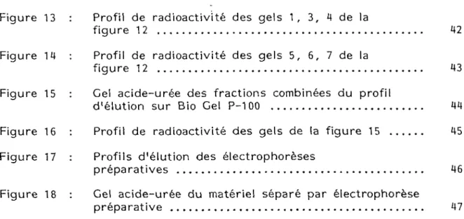 Figure 13  :  Profil de radioactivité des gels 1, 3, 4 de la