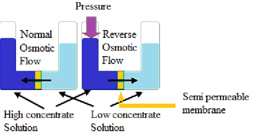 Figure 2: Reverse Osmosis v/s Normal Osmosis 