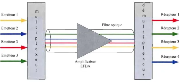 Figure 2.2:  Fibre optique dotée de WDM 