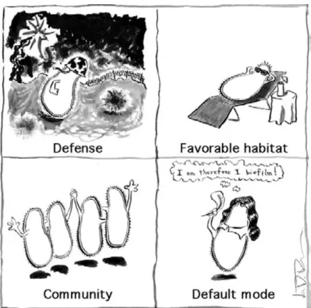 Figure 11: Artistic interpretation of the four driving forces behind bacterial biofilm formation [134].