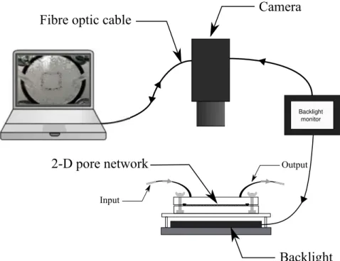 Figure 17 for both the two-dimensional pore network and the three-dimensional column experiments.