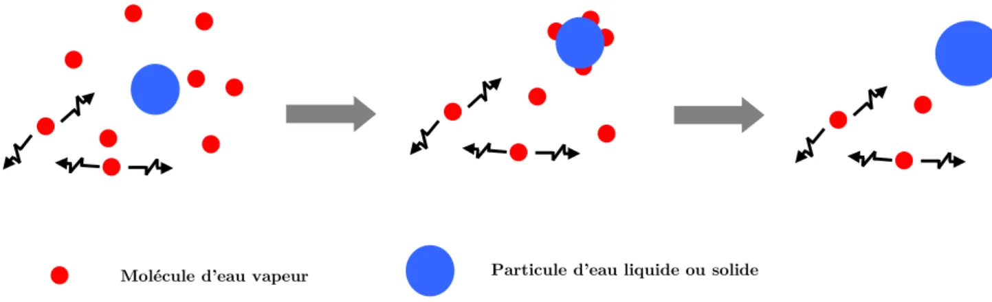 Figure 1.6 : Schématisation du processus de la condensation de la vapeur d’eau sur une particule d’eau liquide ou solide 