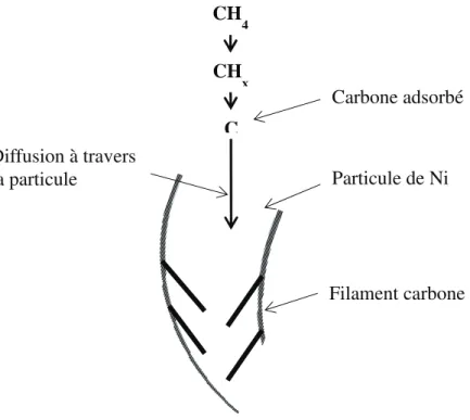 Figure 14 : Mécanisme de formation des filaments carbonés par craquage du CH 4  ou réaction de  Boudouard [93] 
