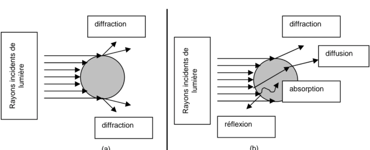 Figure III. 1 : Diffraction de la lumière par une particule selon Fraunhofer (a) et Mie (b) 