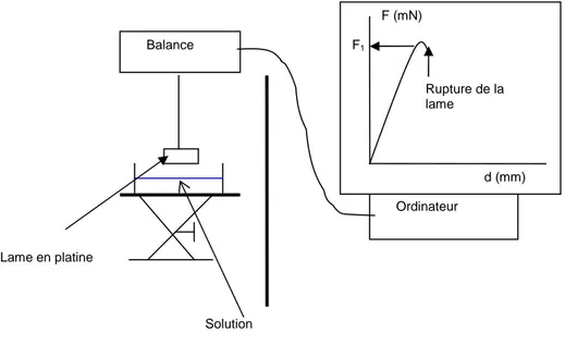 Figure II. 10 : Schéma du tensiomètre pour la mesure de tension superficielle Balance Ordinateur F (mN) Solution   d (mm) Rupture de la lame F1    Lame en platine              L F e 