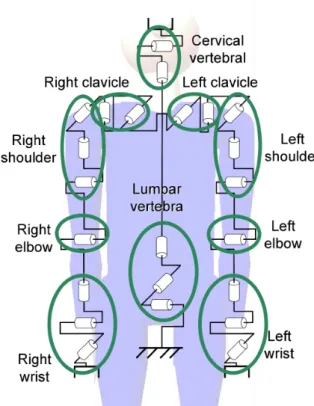 Fig. 1. virtual human kinematic structure