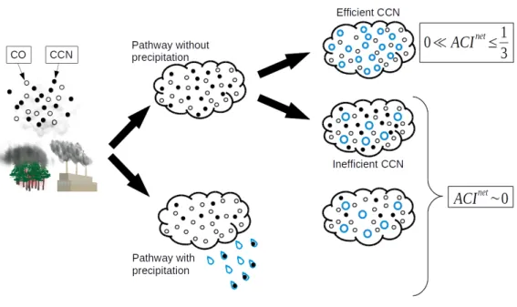Figure 1.6. Relation between CO concentration and aerosol concentration along different pathways.
