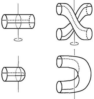 Figure  6.1  The local  behaviour for  quotients of strongly  invertible  knot  complements
