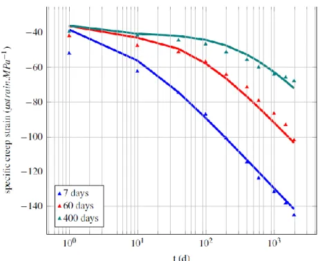 Fig. 2.4 : Impact de la date de chargement sur la déformation de fluage propre,  comparaison modèle/expérience (issu de [53]) 