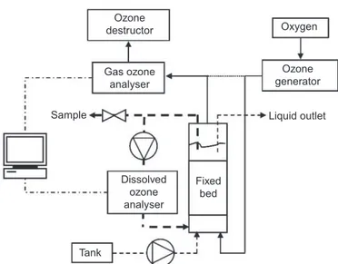 Figure 1 | Sketch diagram of the continuous gas-liquid-solid reactor.