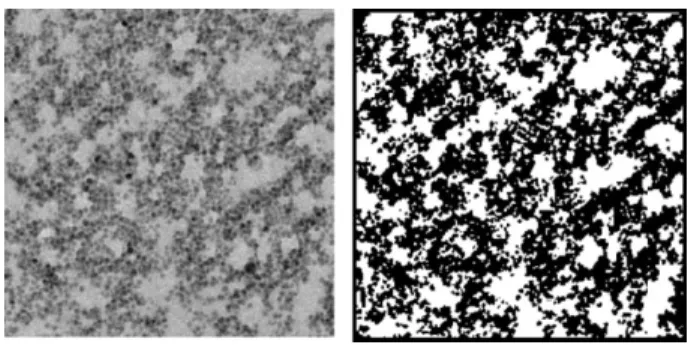 Figure 1. Original and binarized TEM image of an ultrafiltration cake (image size ≈ 1 lm 2 ).